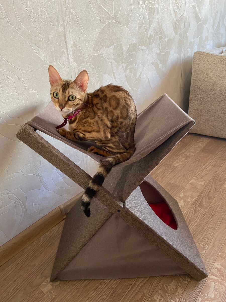 Какая гостиница? У меня уже есть свой домик!