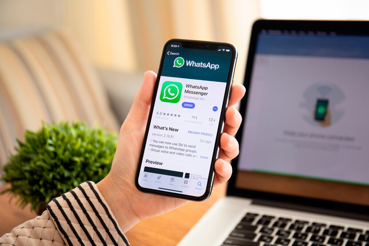 WhatsApp становится соцсетью. Сервис запускает «сообщества»