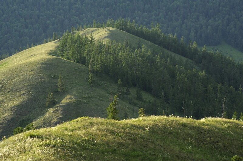 Фото с официального сайта государственного Башкирского заповедника bashzapovednik.ru