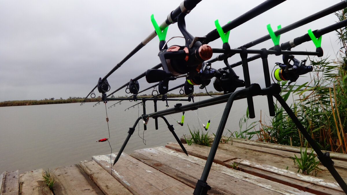 Фото автора.