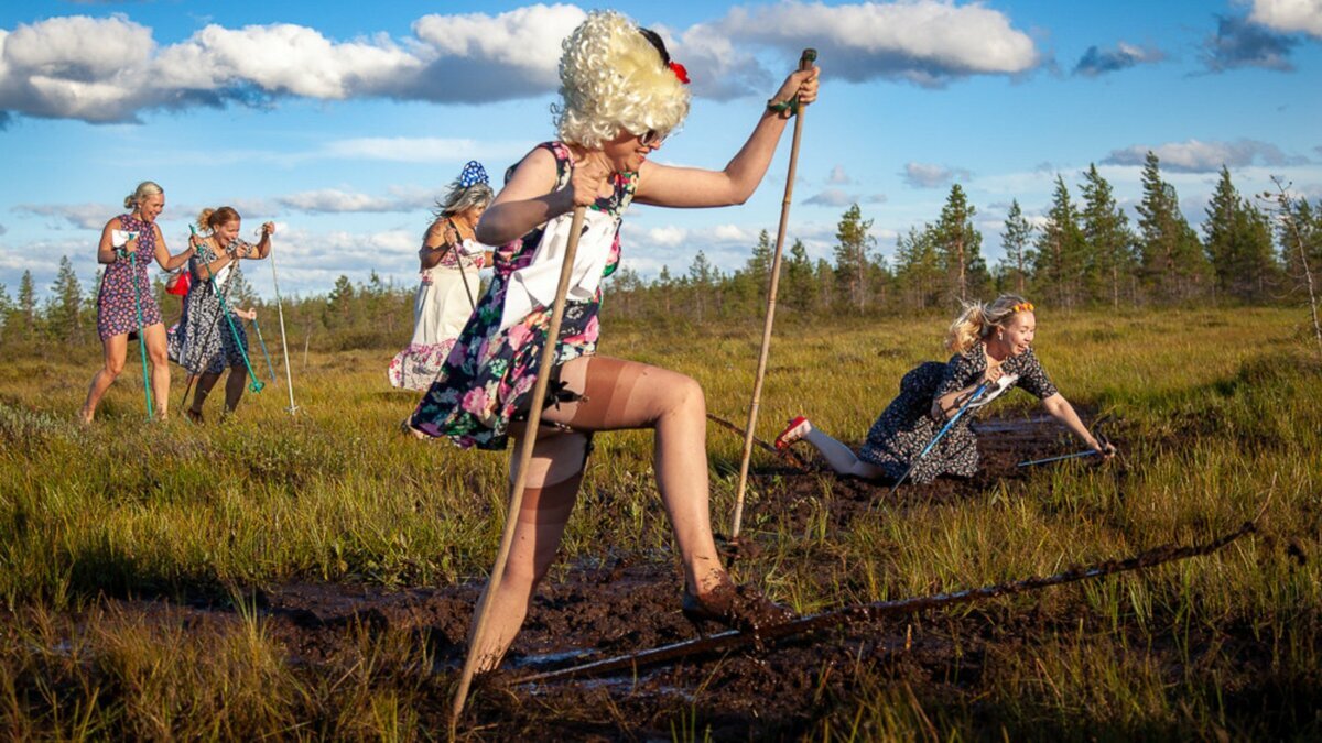 Хожу по болоту. По болоту на лыжах. Ходьба по болоту.