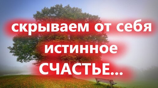 В погоне за бесконечными маленькими удовольствиями мы принимаем каждое из них за подлинное и скрываем от себя истинное. Как найти счастье?