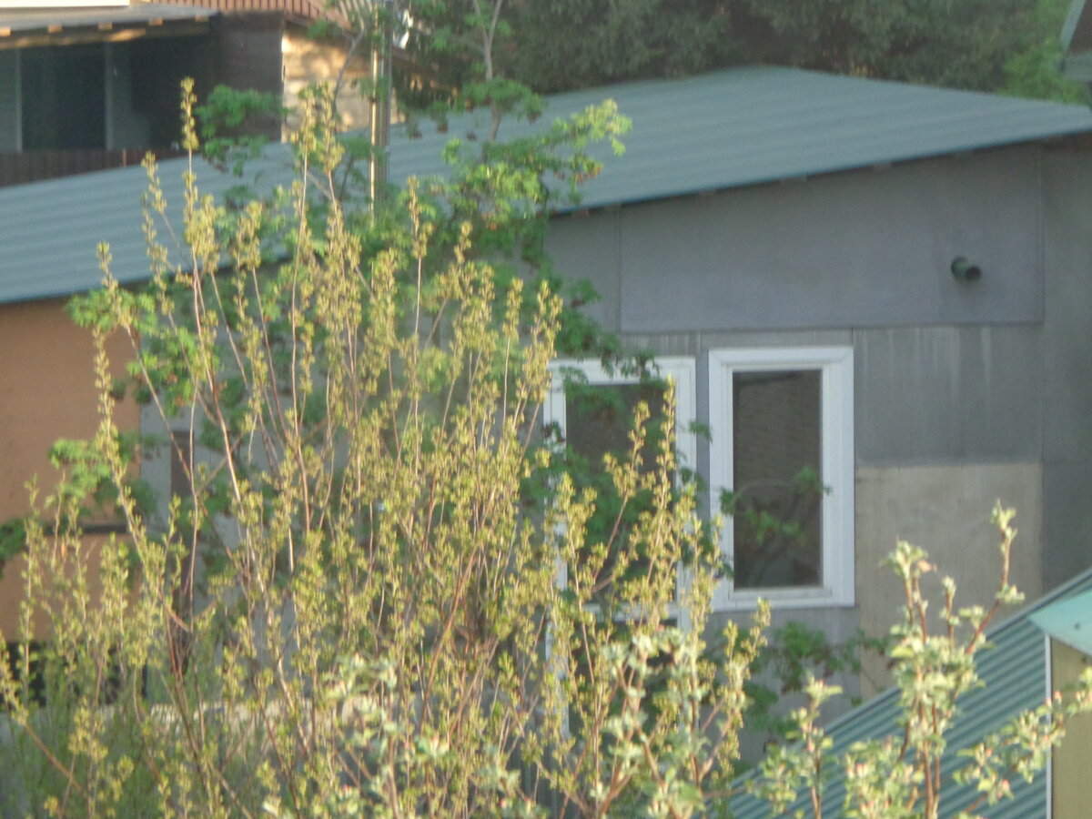 Вот такой симпатичненький индюшатник