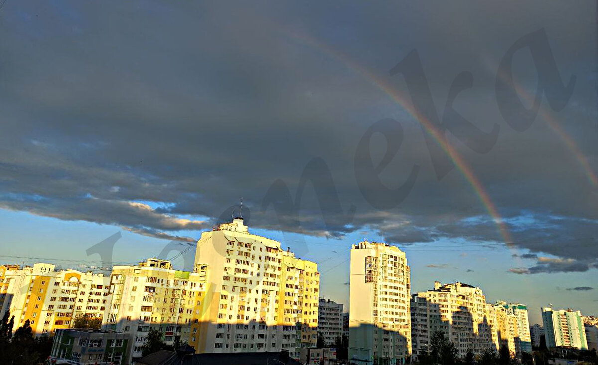 Фото автора. После дождя