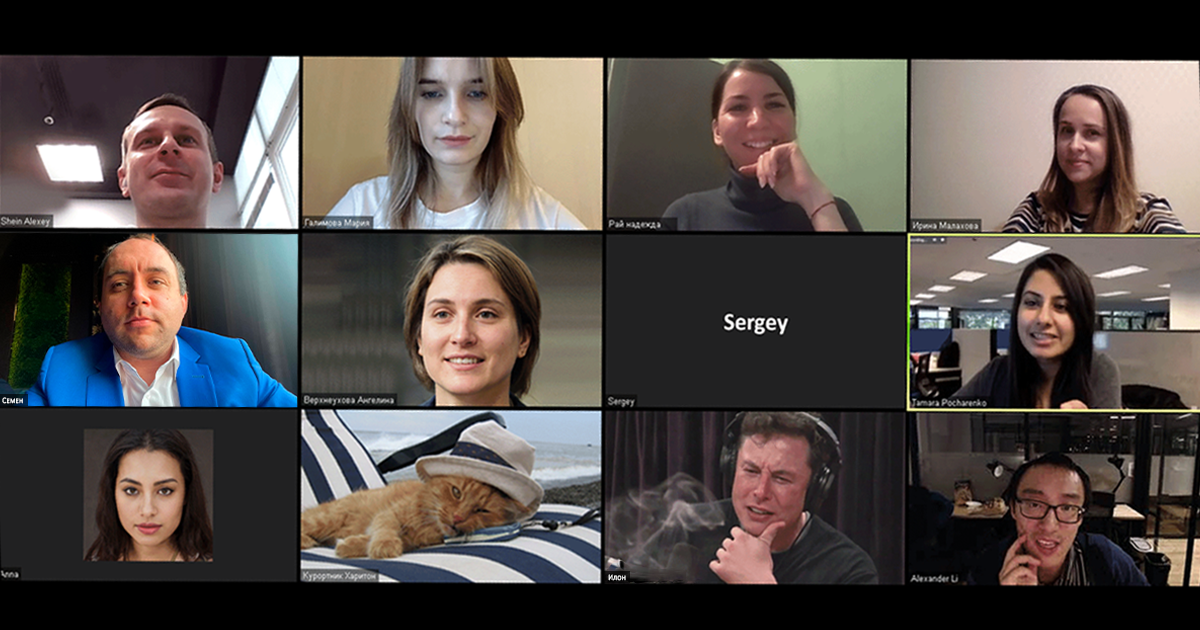 Команда EASY, котик и Илон Маск обсуждают новый модуль для сервиса.