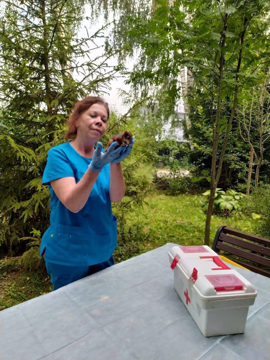 Листайте вправо, чтобы увидеть больше изображений