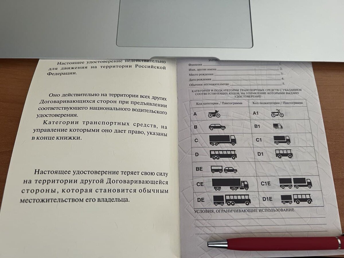 Рассказываю как без блата и взяток получить водительские права за 1 день |  Иван Агуреев | Дзен