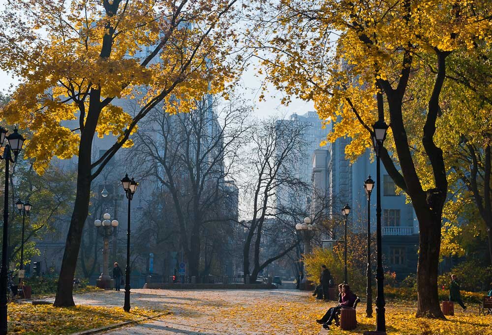 5 листопада. Осенний город. Осень в городе. Улица осень. Улица поздняя осень.