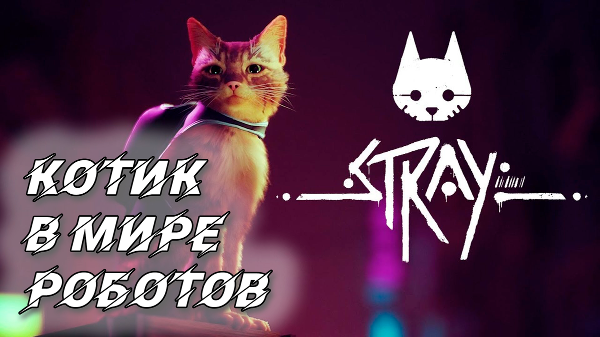 Приключения котика в мире роботов | Обзор игры Stray | Реальная  Виртуальность | Дзен