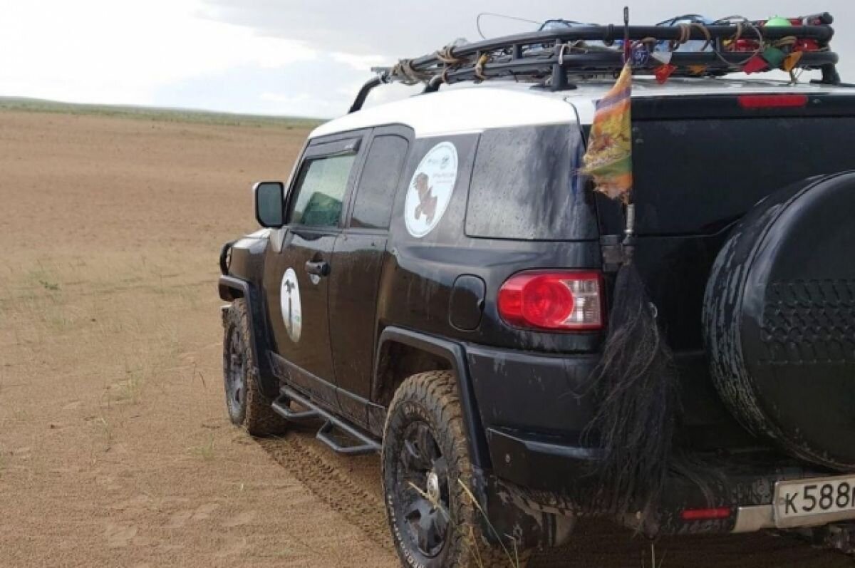    Орнитолога из Новосибирска Шнайдер не пустили в Монголию с хвостом яка