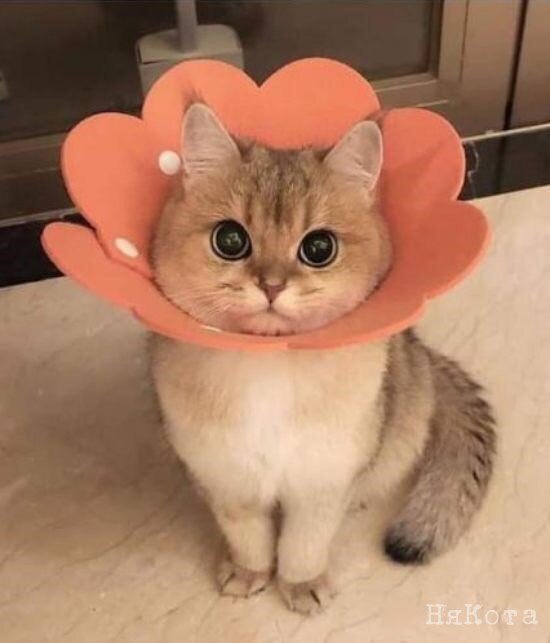 Здесь и далее фото reddit.com