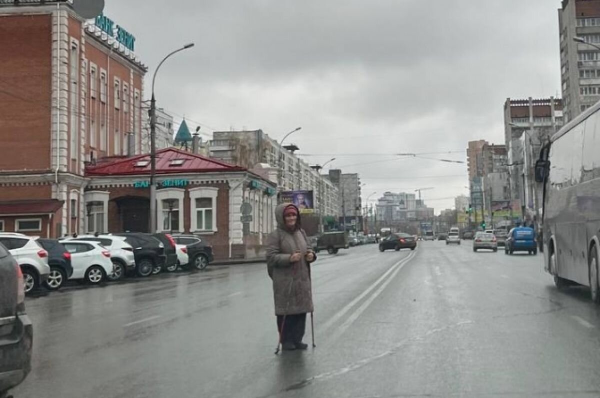    Бабушку со скандинавскими палками заметили посреди дороги в Новосибирске