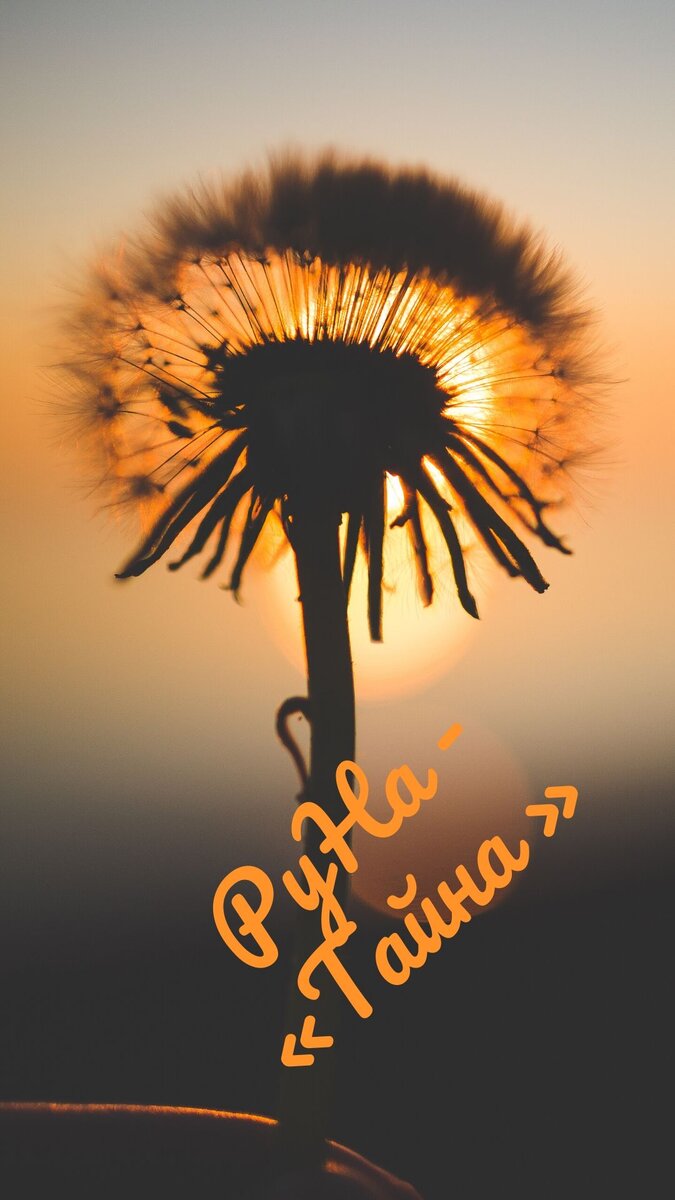 Привееет!!! 🌞 
Сегодня уже 9 день погружения!!! Вы молодцы!!!🔥

❗Дала практику для среза вашей ситуации с деньгами на сегодня!!!

❗Дала Лайф Хак, как поднять свою денежную энергию!!!

Энергия Рейки Деньги, как и другая энергия, любит взаимообмен!!! Поставьте ей 💕 и поблагодарить за вклад!!! 🤗

Какие новые возможности открыты для вас сейчас?!?

Смотрите, наблюдайте, замечайте, отмечайте и принимайте!!! Вы творец своей жизни!!! 🌠 Посмотреть 9 день можно здесь! https://youtu.be/LWjzJ33yNWg