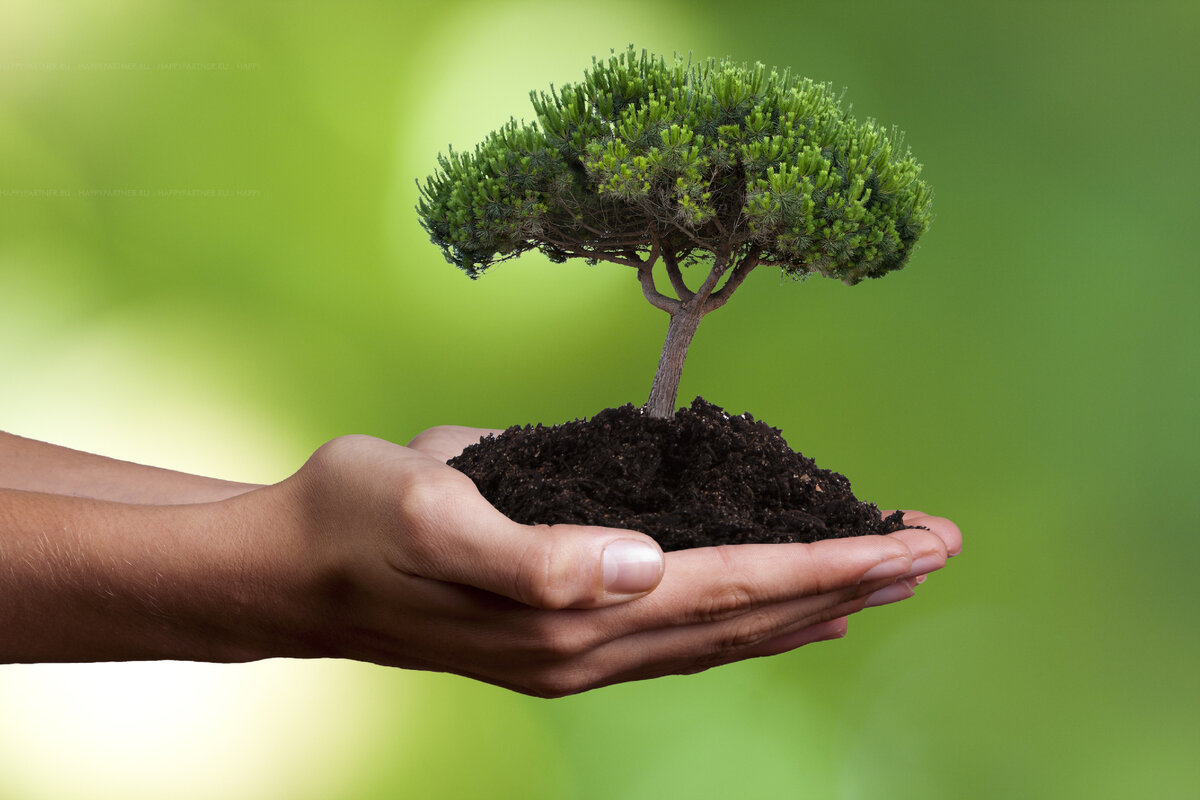 экология, флора, фауна, лес, жизнь, планета, животные, растения, люди, человек