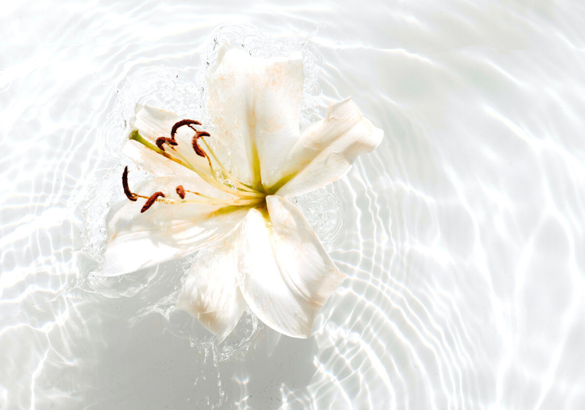 В слиянии стихий © Анна Манахова