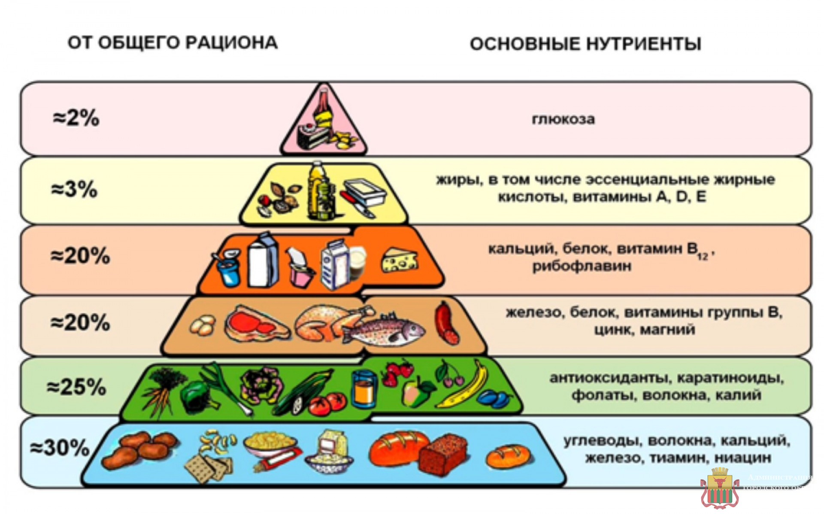 Нутриенты углеводы. Пирамида правильного питания белки жиры и углеводы. пирамида бжу пищевая. пирамида питания здорового человека в процентах. нутрициология принципы питания таблица.