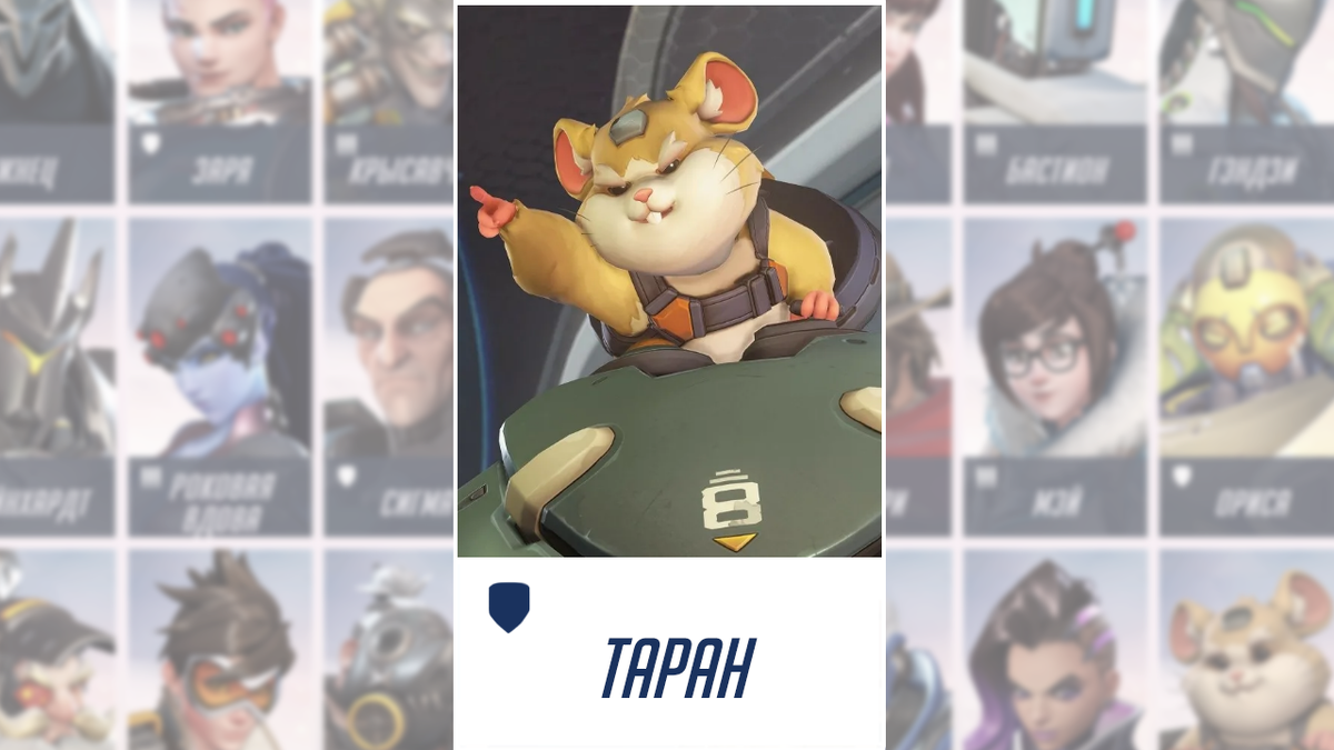 Таран, он же хомяк Хэммонд.