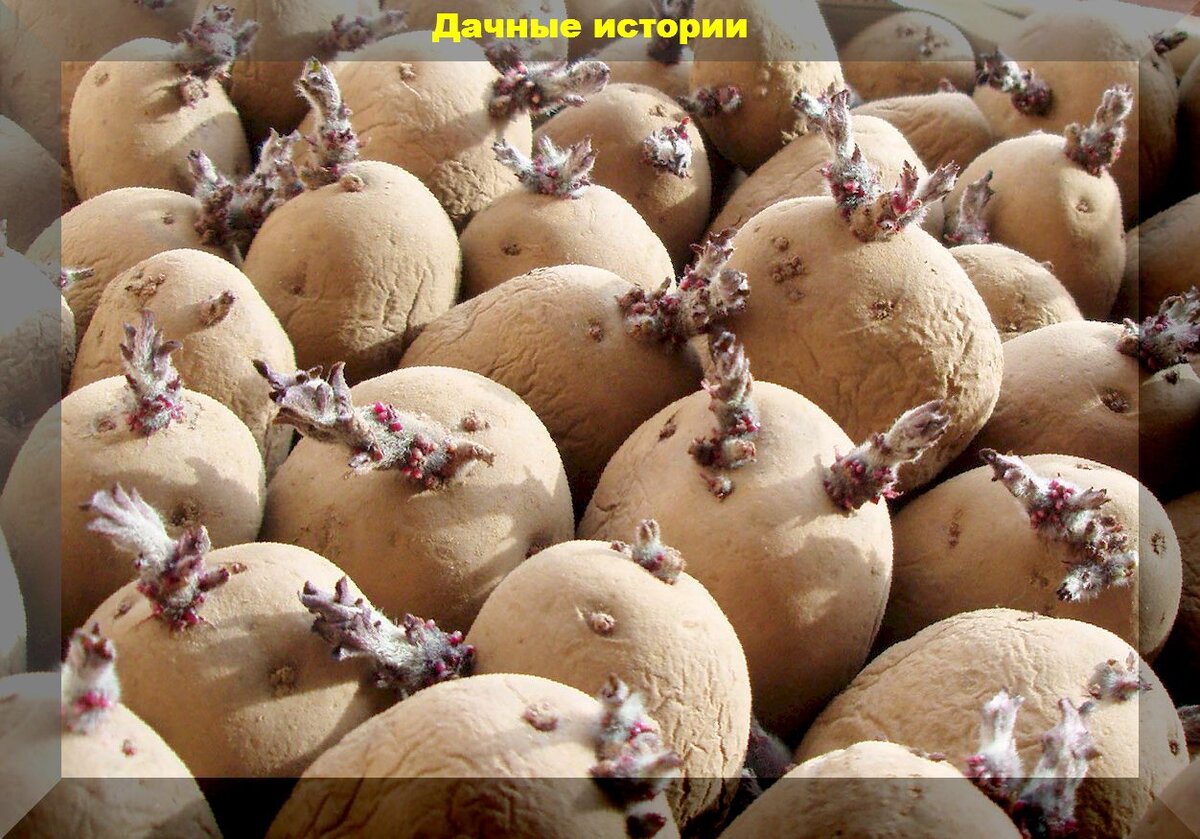 https://vk.com/photo-159774511_457246710