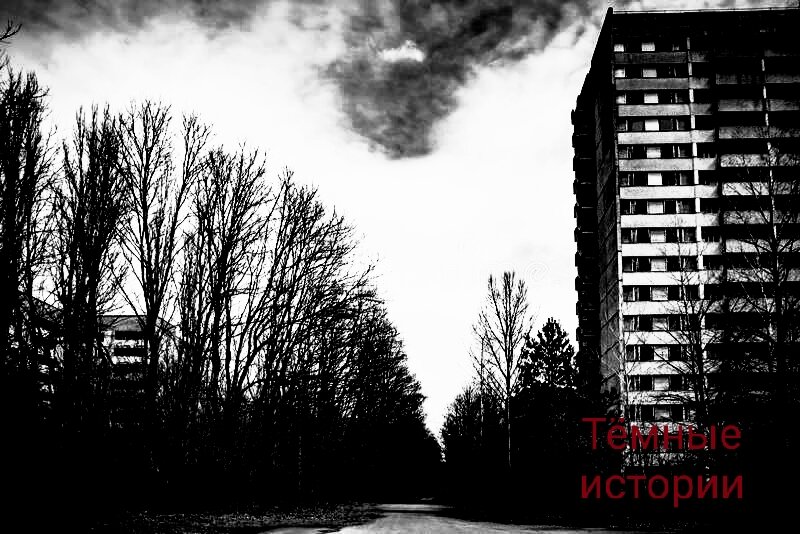 Изображение для иллюстрации.