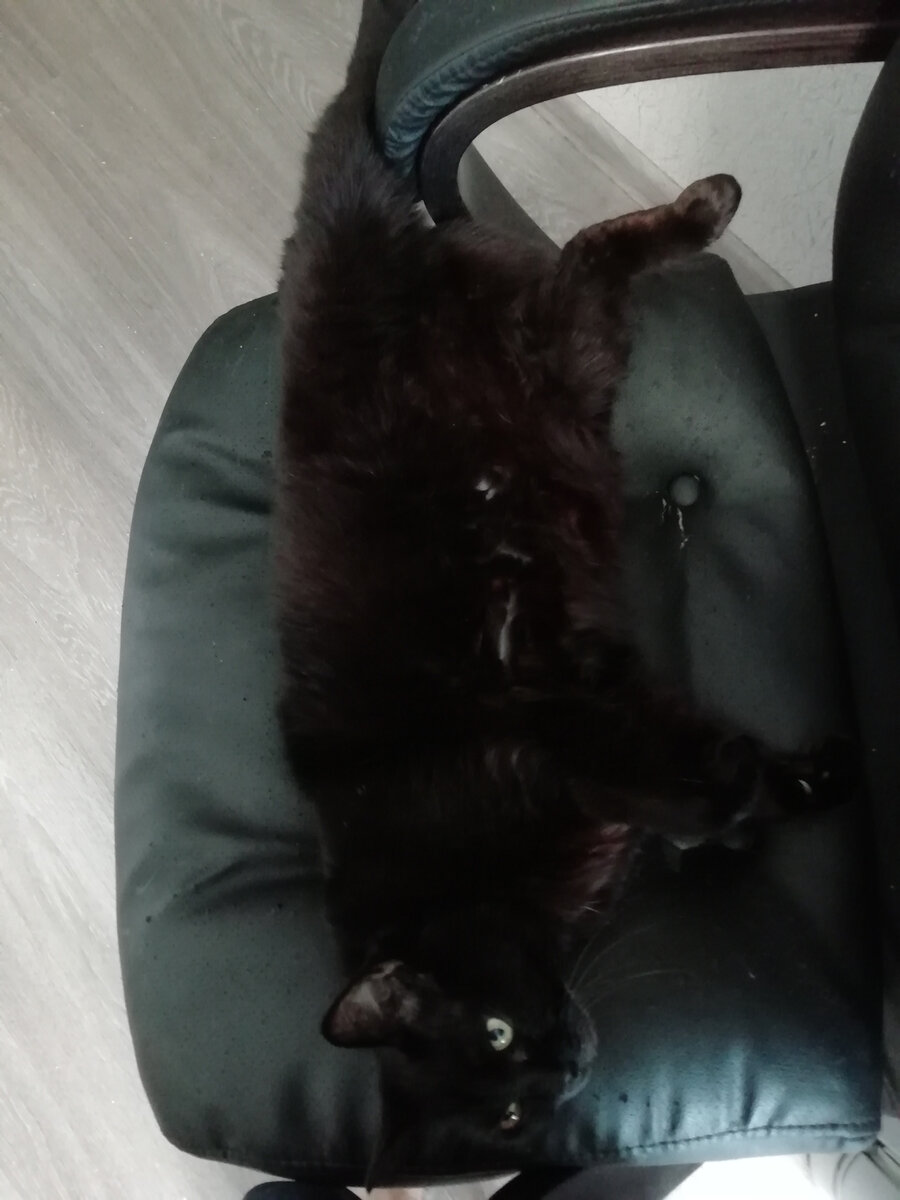 А нам всё равно, мы валяемся в любое время и любом месте