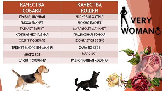 Вы как кошка или как собака? Какой энергии у Вас больше?