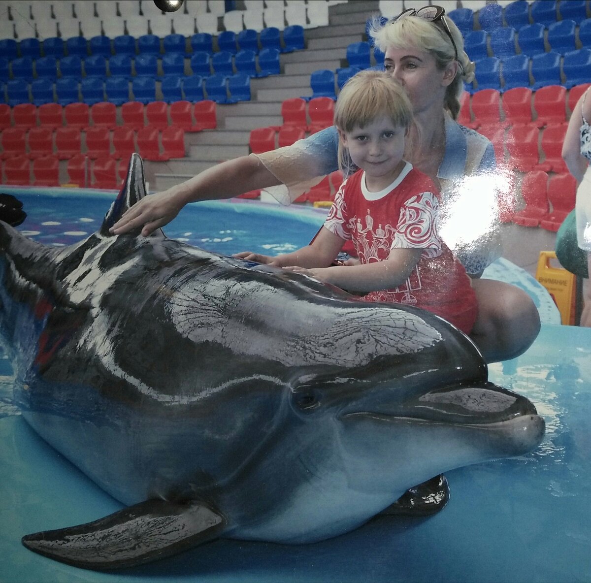 Все мы браконьеры и пираты периодически. Шучу. Обычный живой дельфин.