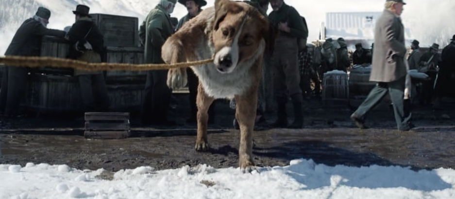 Первый в жизни Бэка снег