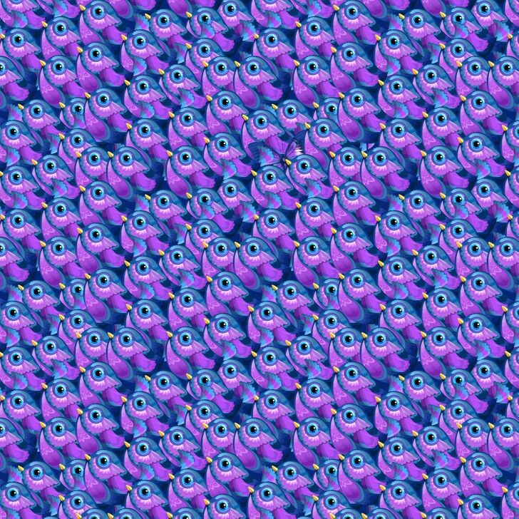 На втором изображении ответ