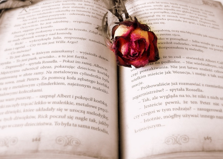 Источник - https://pixabay.com