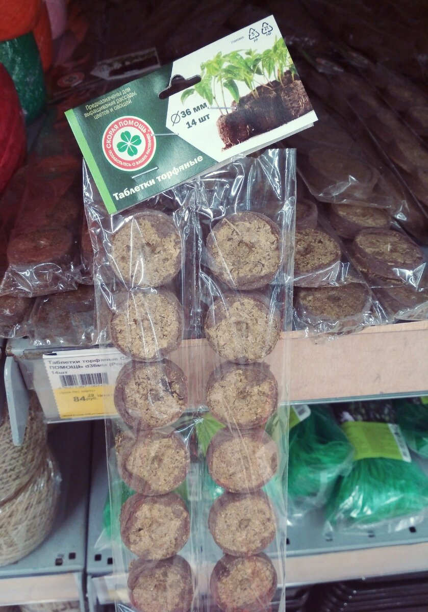 Фото автора. Торфяные таблетки