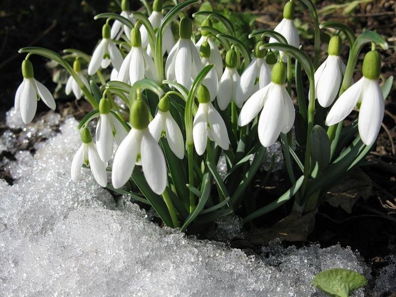 Картинка взята из открытых источников для целей иллюстрации.