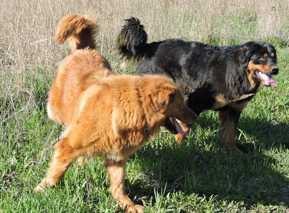 БМВ-ки Евгении Николаевны на прогулке