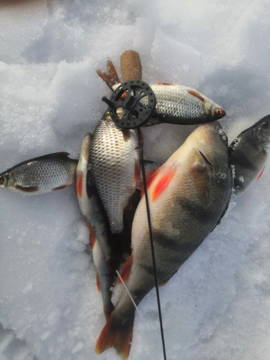 Это моя первая удочка, которую я сделал под свою руку