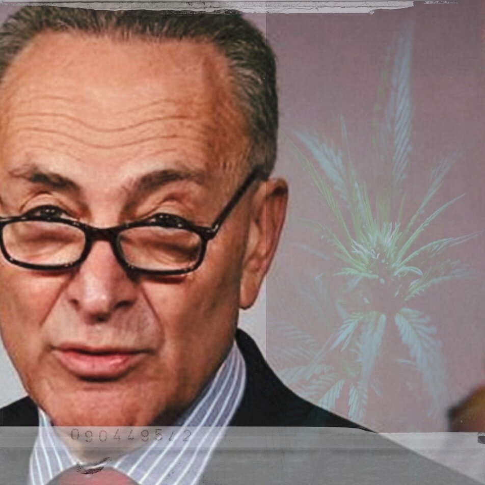 Сенат США проведёт легализацию марихуаны с Байденом или без него. Американцы не против, вот что они пишут