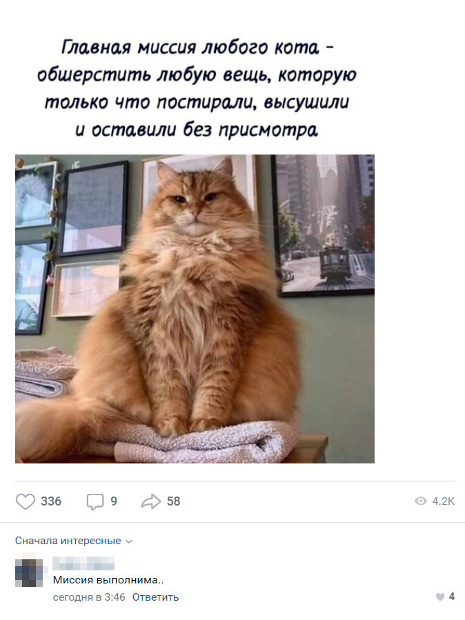 Какой же кошмар наступает для хозяев, когда начинается сезон линьки.