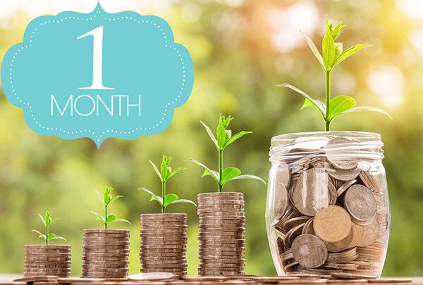 Первый месяц заработков