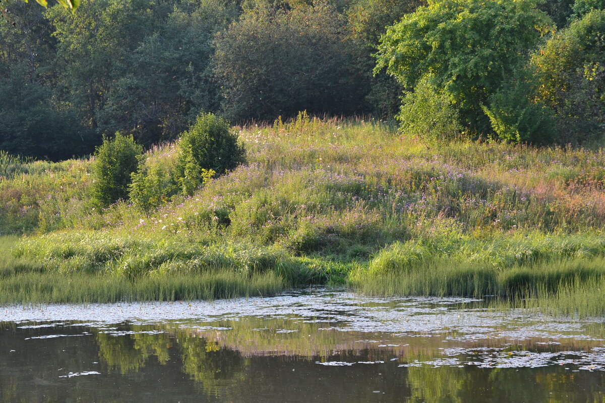 Нежить. Глава 25. Дом | Ijeni | Дзен