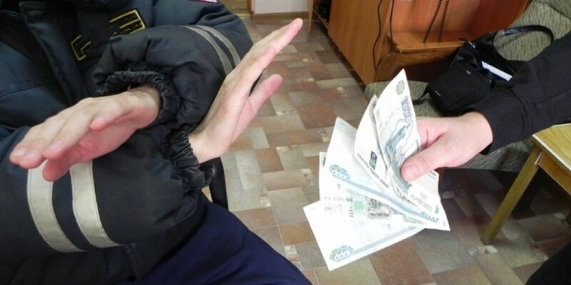 Фото взято из интернета