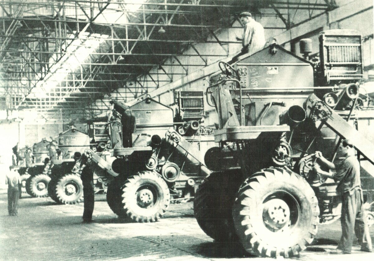 Фото из Яндекс Картинок