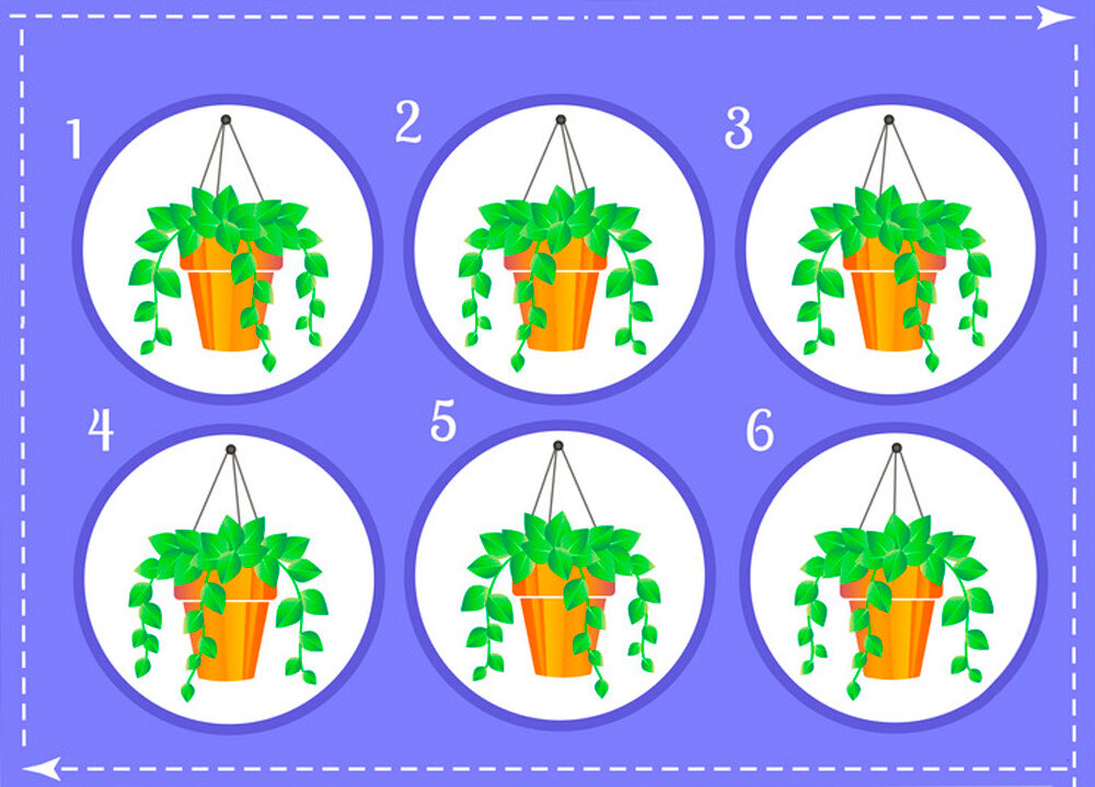 Найди два одинаковых предмета. Два одинаковых сайта. Два одинаковых объекта. Игра где надо найти 3 одинаковых картинки. Пирамидки раздаточный материал по математике.