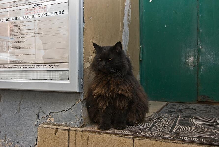 Источник фото Яндекс Картинки 