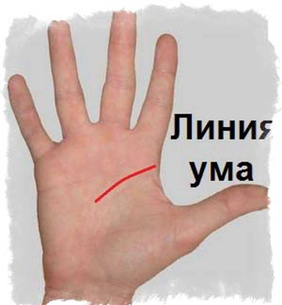 Где лини. Линия ума. Линия ума на руке. Линия ума на ладони. Линия сердца на ладони.
