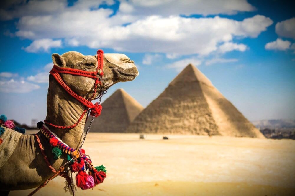 Малоизвестные мифы об отдыхе в Египте