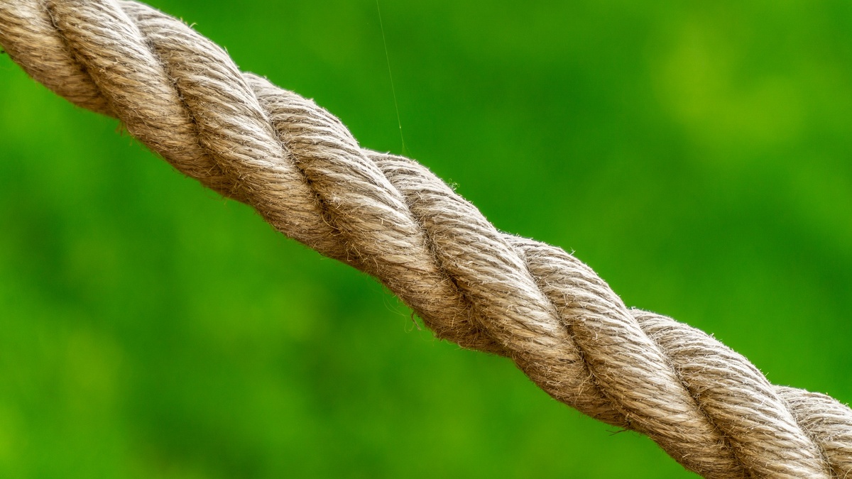 Взято с открытого источника: https://pixabay.com/