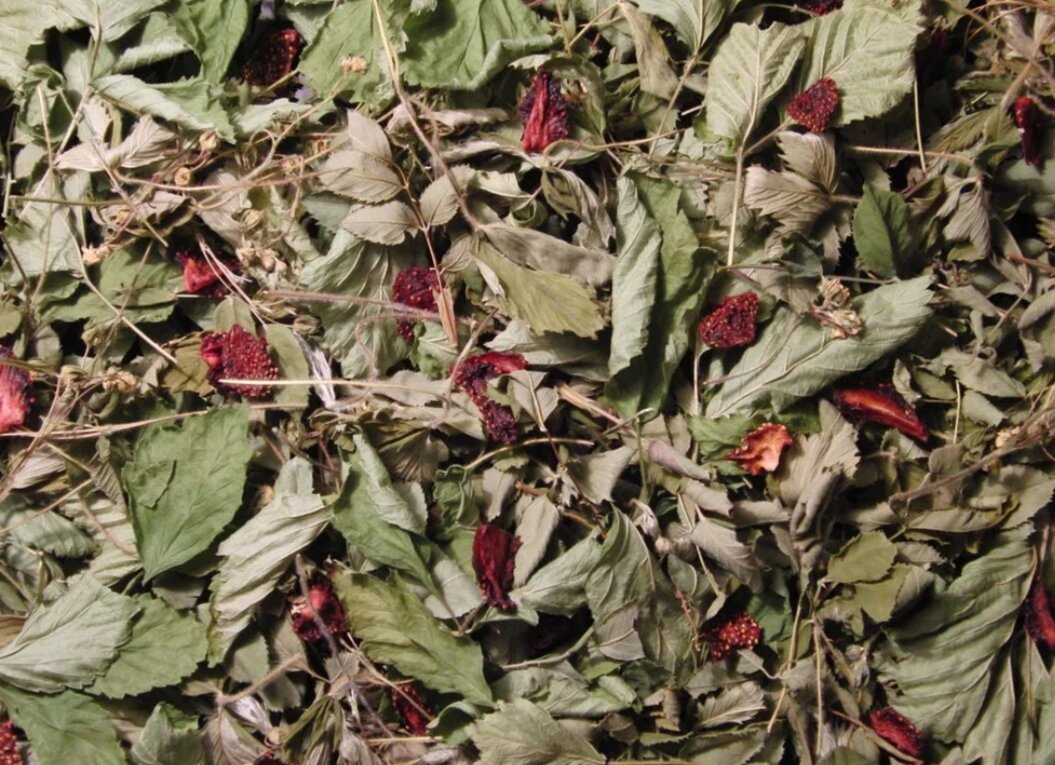 Фото из интернета 