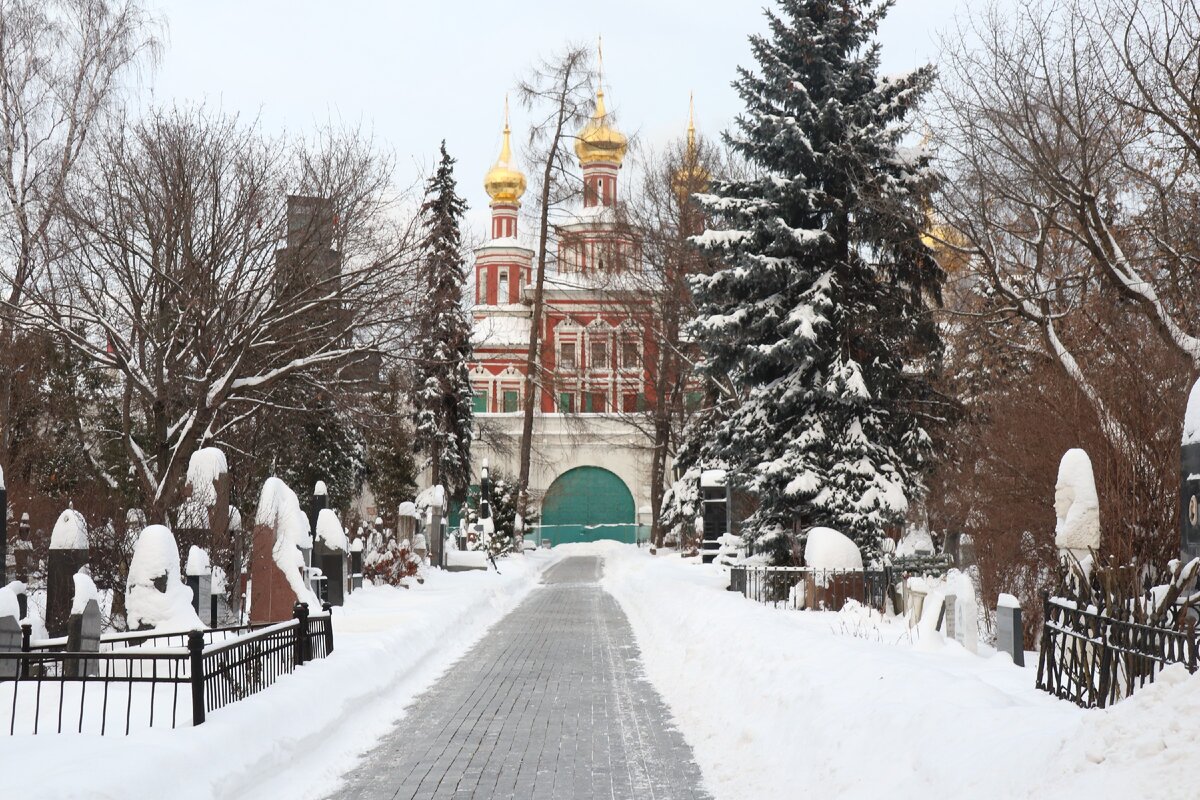 Листайте галерею, чтобы увидеть больше фото