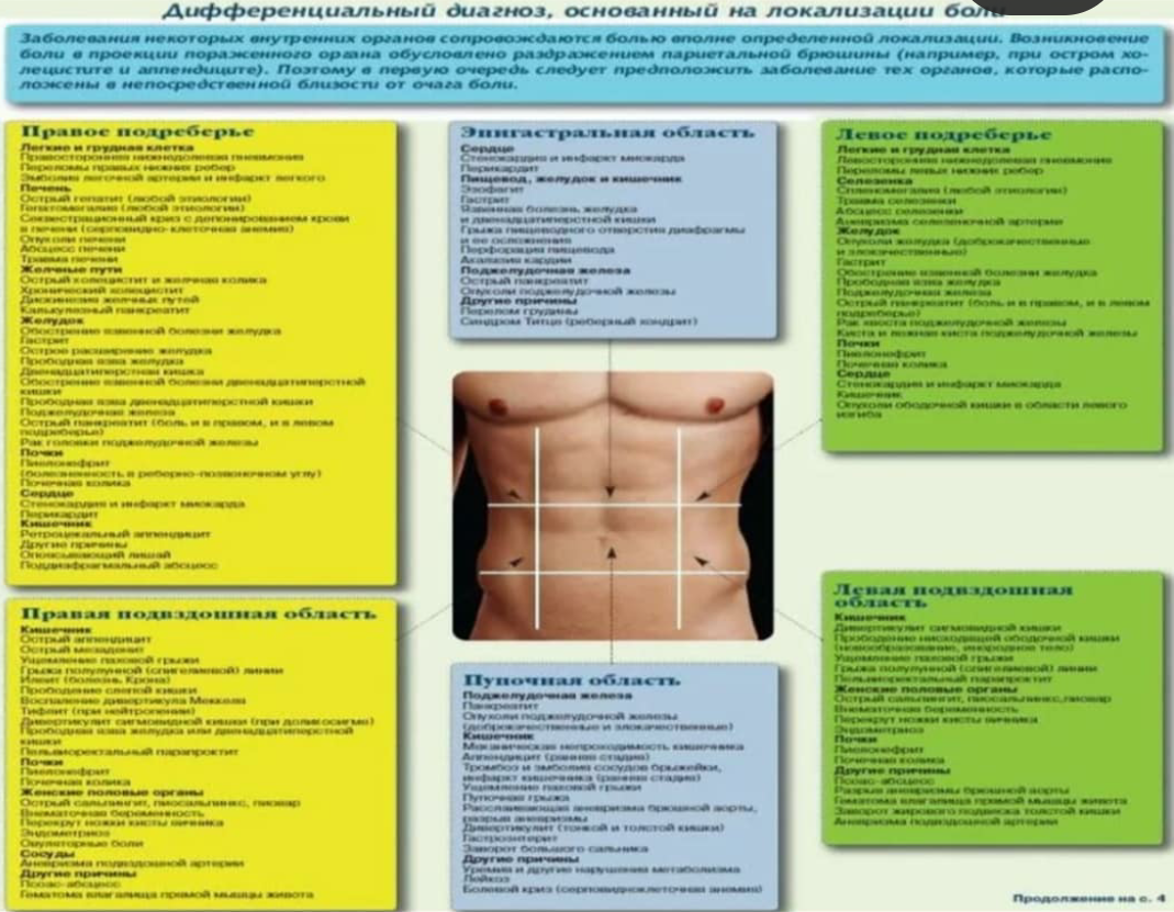Практик справа. Локализация боли в животе. Боль в животе схема. Резкая острая боль в животе. Локализацмя боли в живот.