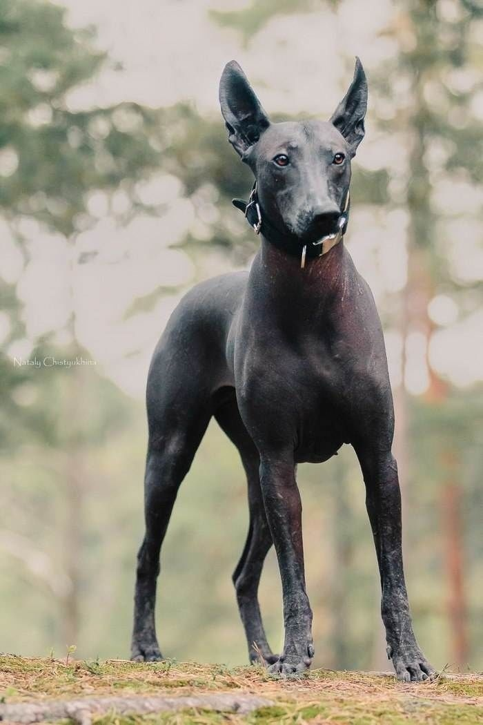 Источник фото:  totalhub.ru