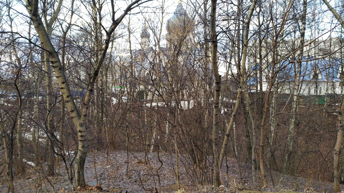 Весна(фото автора)