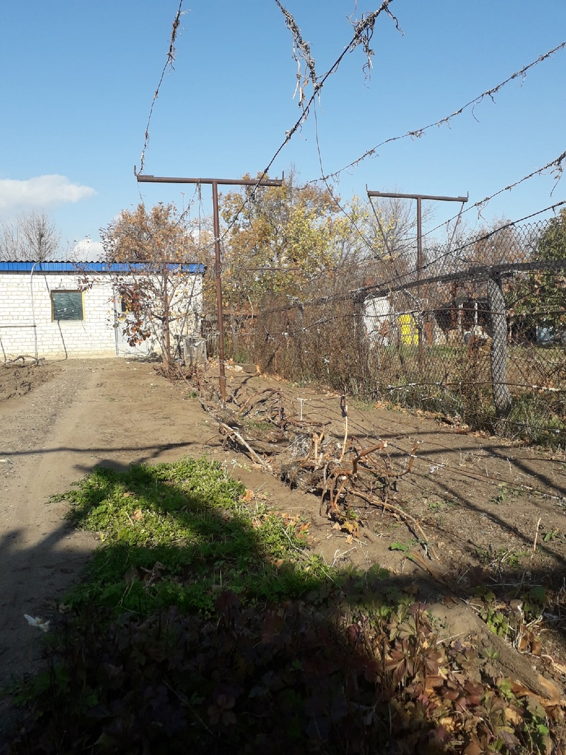Участок осенью